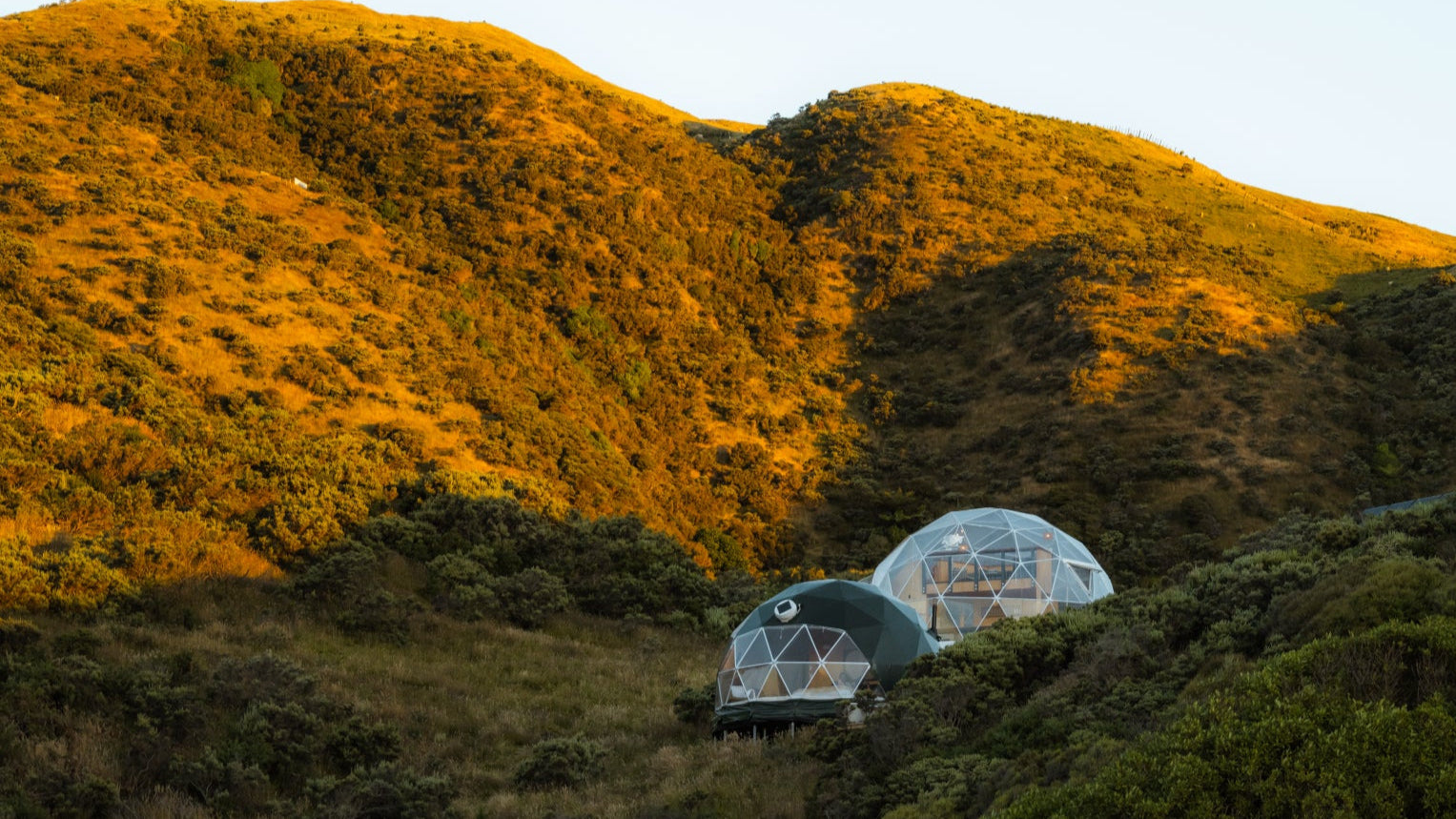 Two geodesic domes nestled in a hilly landscape with a warm glow near Wellington, NZ supplied by Glamping Dome Store