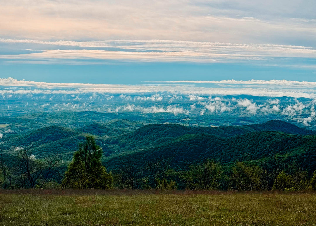 FOR SALE: Thriving Glamping Dome Business in a Scenic Retreat Setting (Hillsville, Virginia, USA)