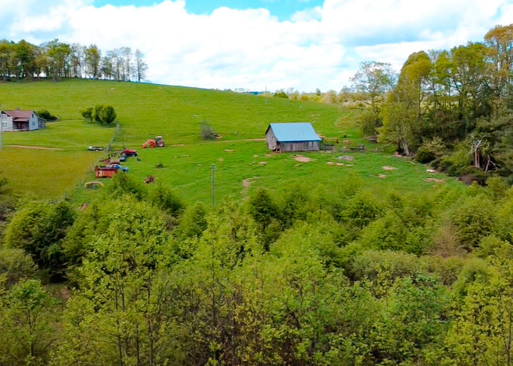 FOR SALE: Thriving Glamping Dome Business in a Scenic Retreat Setting (Hillsville, Virginia, USA)