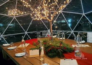 Restaurant Geodesic Dome Tent Special - Glamping Dome Store